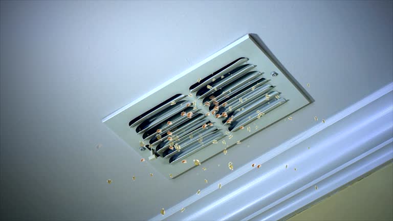Best Dryer Vent Cleaning Services  in Midway City, CA